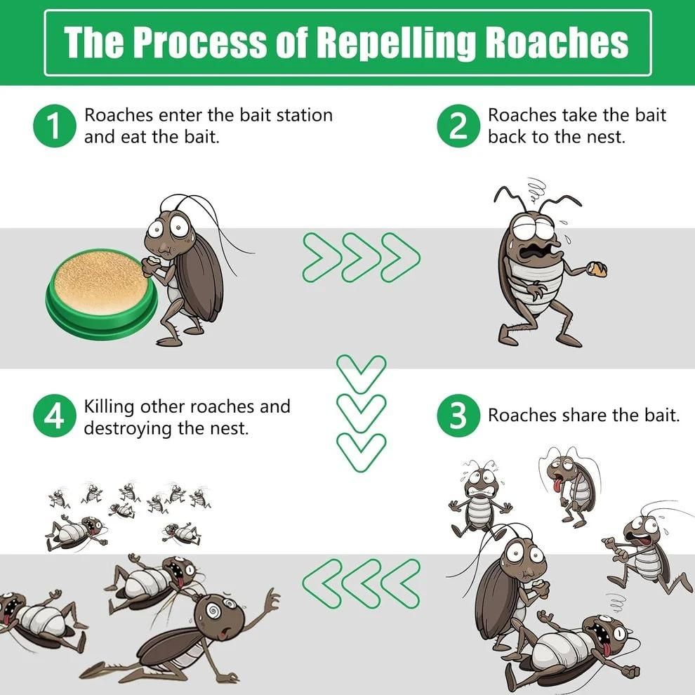 Cockroach Killer Gel (Pack of 8)